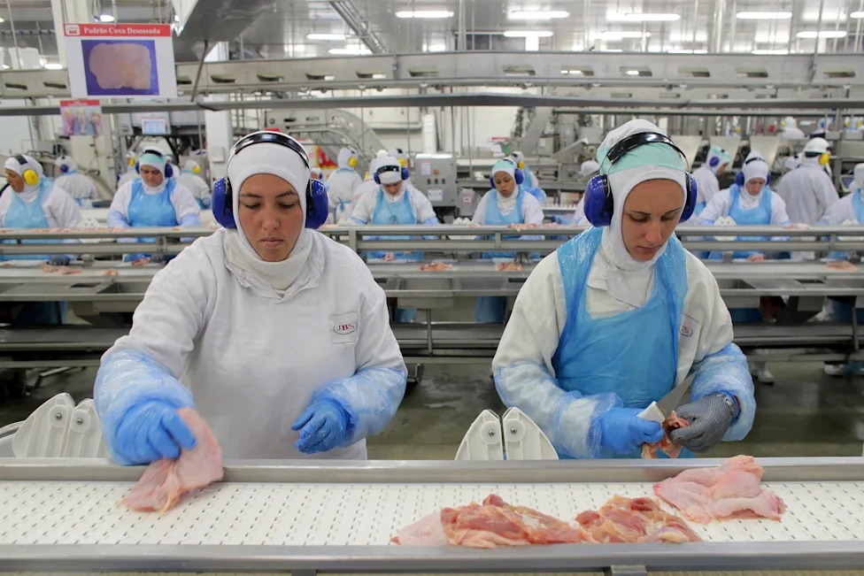 La Unión Europea bloquea la importación de productos brasileños de origen animal