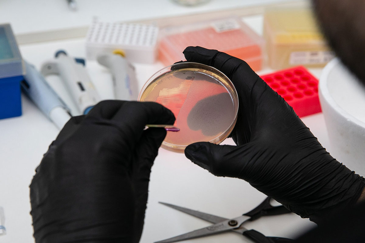 Dos científicos argentinos recibirán un subsidio internacional para proyectos colaborativos de investigación en biomedicina