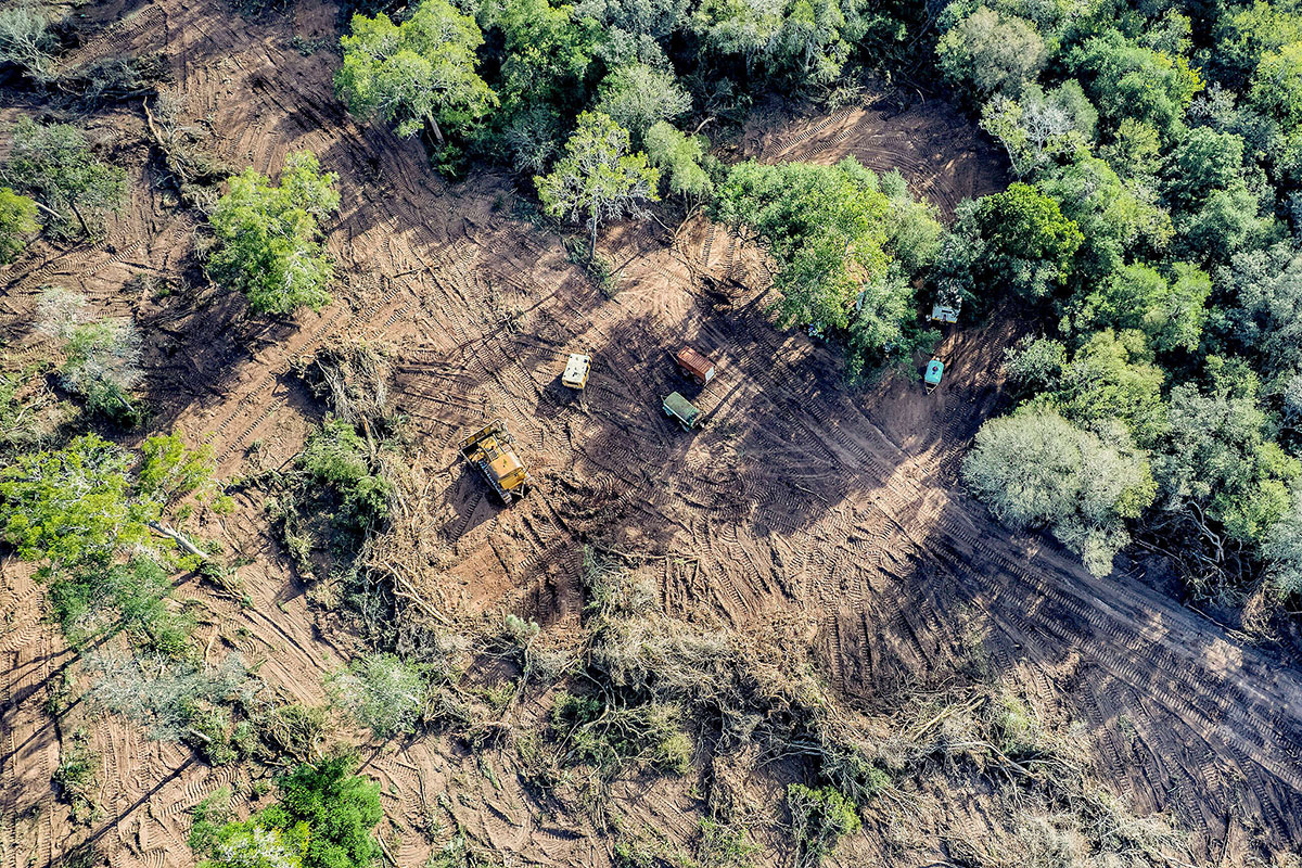 La deforestación no se detiene: más de 73.000 hectáreas arrasadas en el norte
