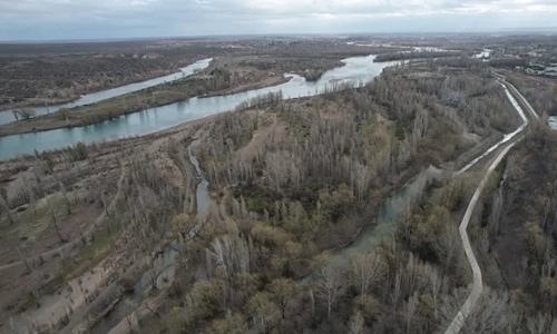 Reclamo ambiental busca revivir un brazo del Limay en Neuquén