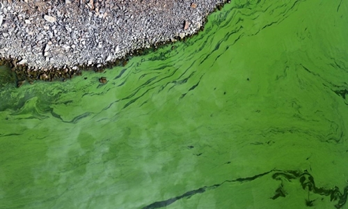 Buenos Aires. Alerta naranja por cianobacterias