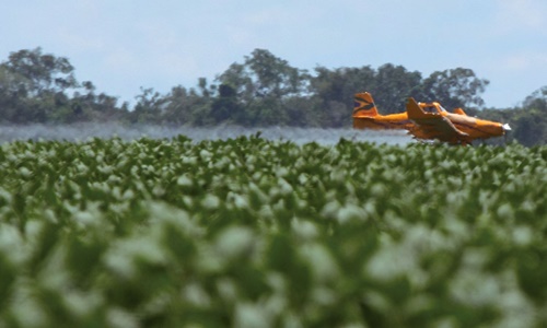 Sin registro oficial sobre el uso de agrotóxicos