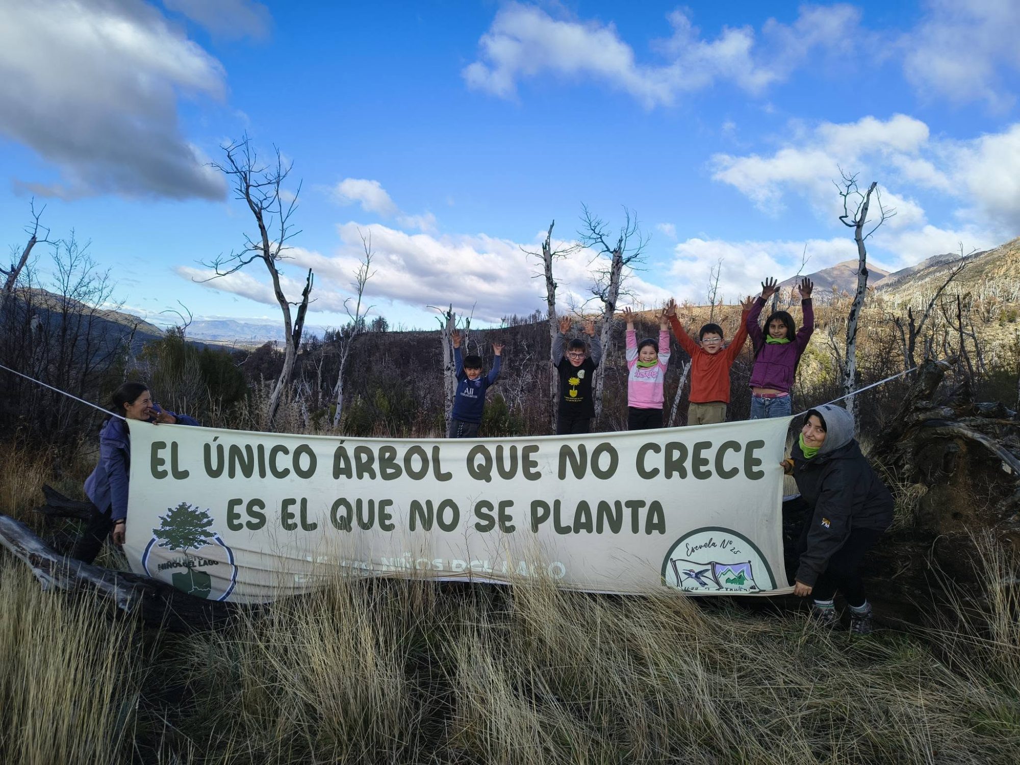 Un escuela de Chubut lleva 20 años reforestando zonas afectadas por incendios: ya plantaron más de 32.000 árboles