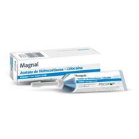 MAGNAL POMADA: precio, para qué sirve y dónde reservar | Farma Encuentro