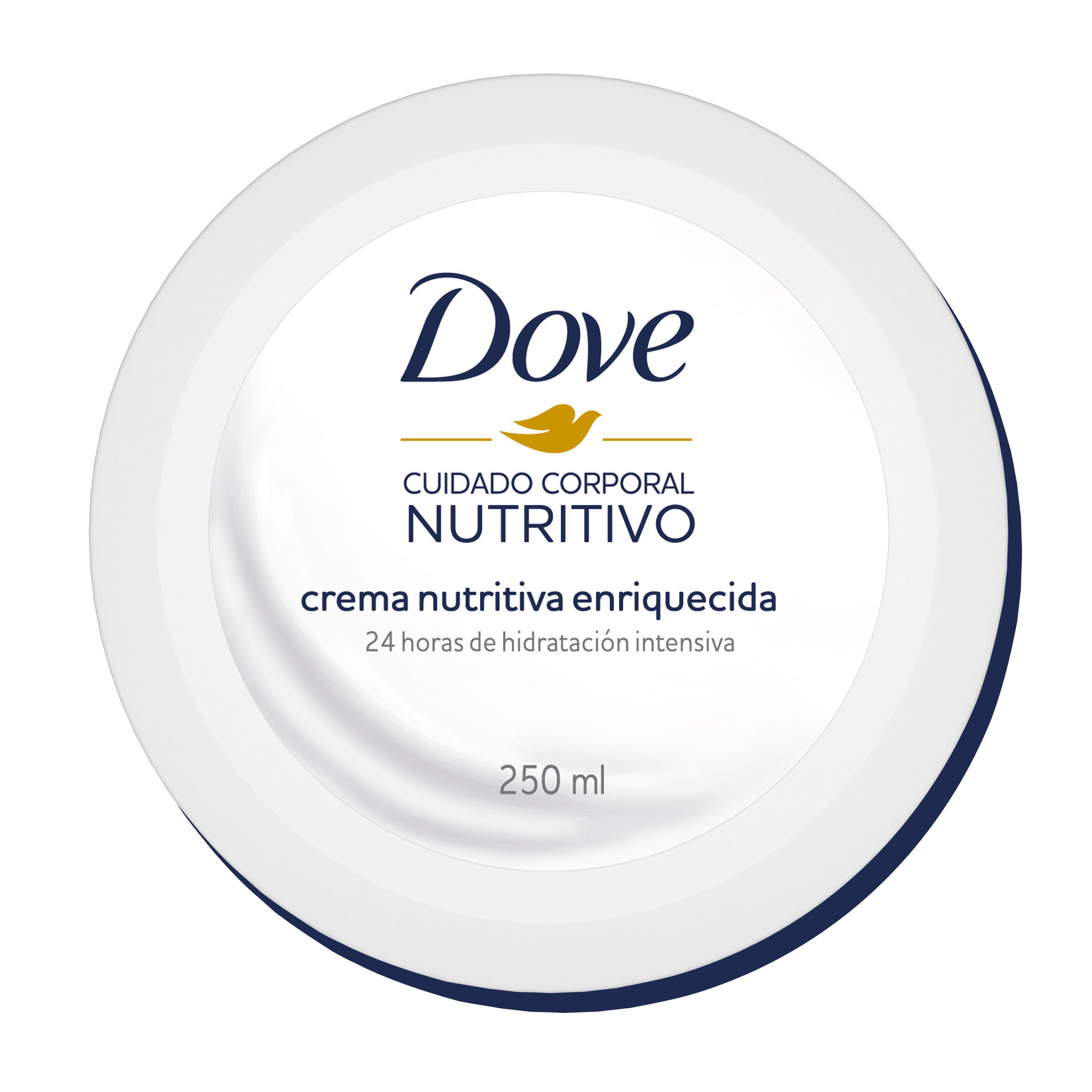 DOVE CREMA CORPORAL SECA 250gr POTE AZUL